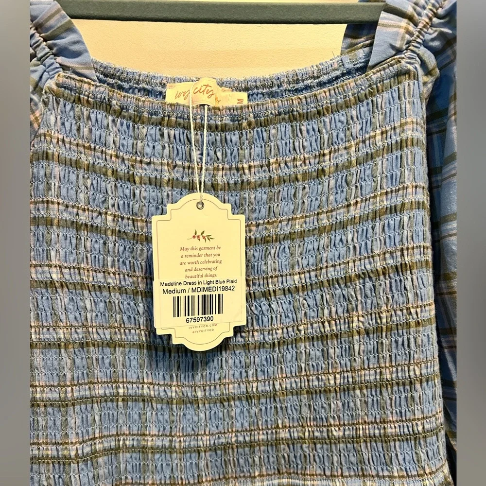 Ivy City Co Madeline dress in light blue plaid - Picture 2 of 5
